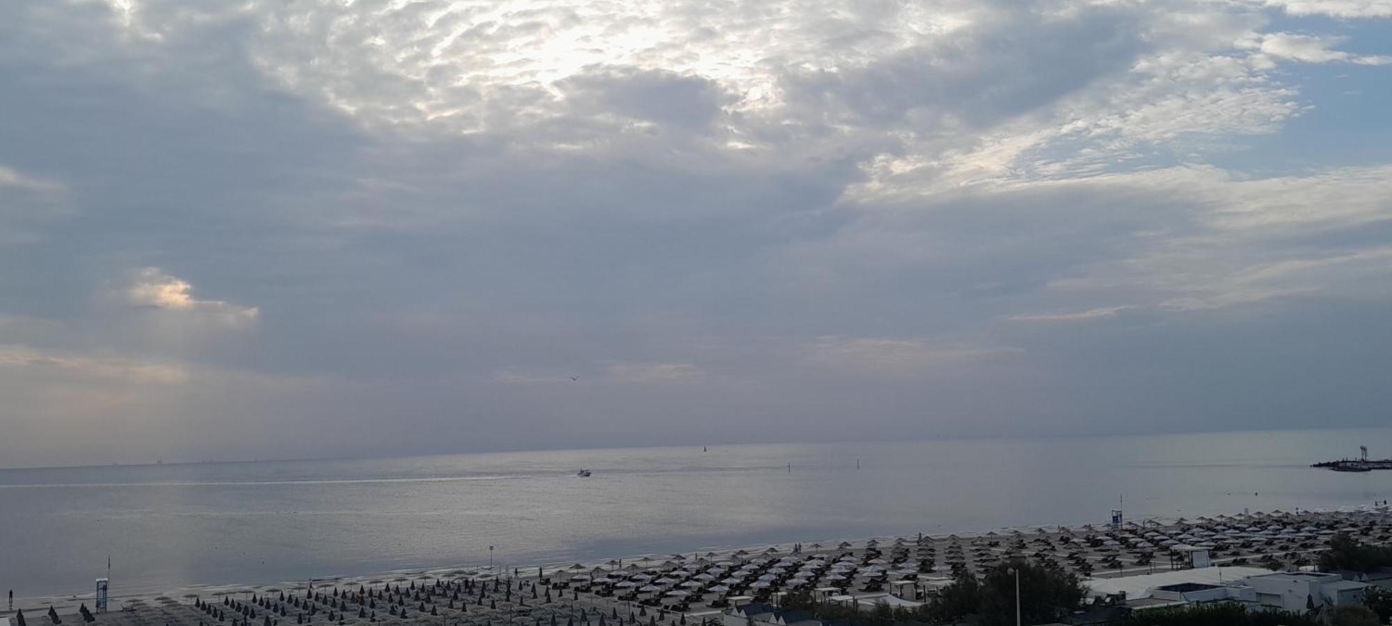 Delfino Milano Marittima
